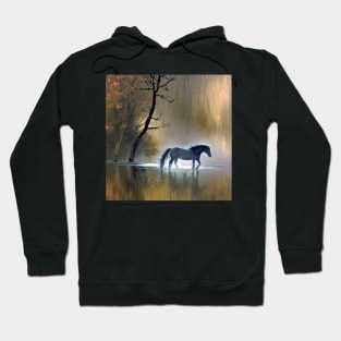 water impression Hoodie